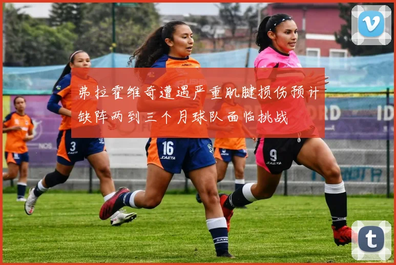 弗拉霍维奇遭遇严重肌腱损伤预计缺阵两到三个月球队面临挑战
