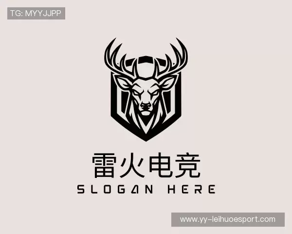 介绍雷火电竞中国官网